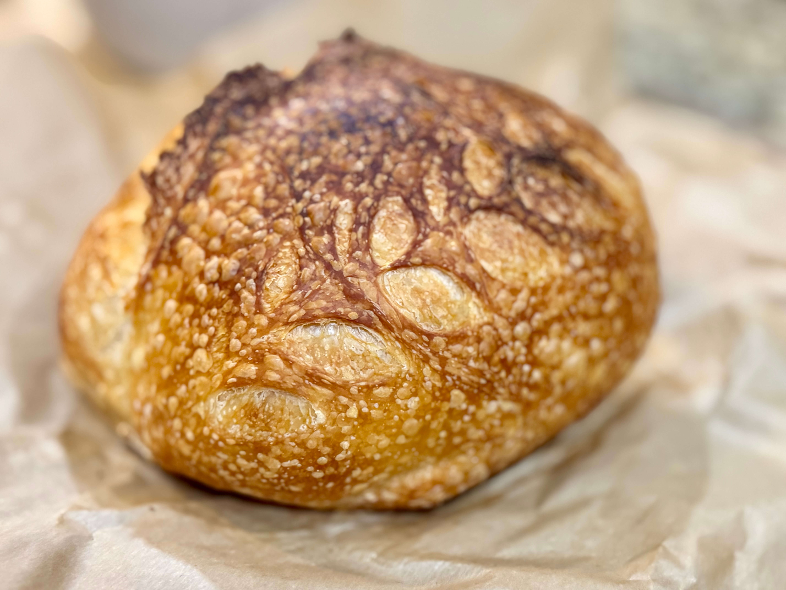Homemade sourdough loaf of bread